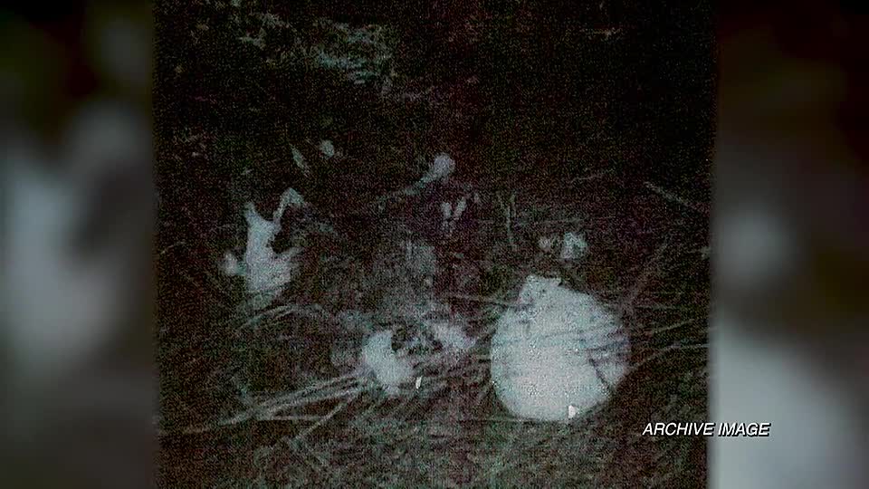 ⁣Bloodline Detectives S06E01