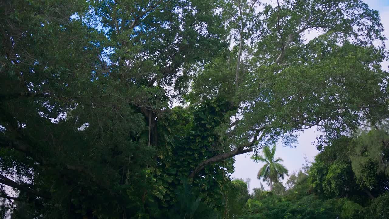 Romantic Rewrite 2022 1080p WEBRip x264 AAC-