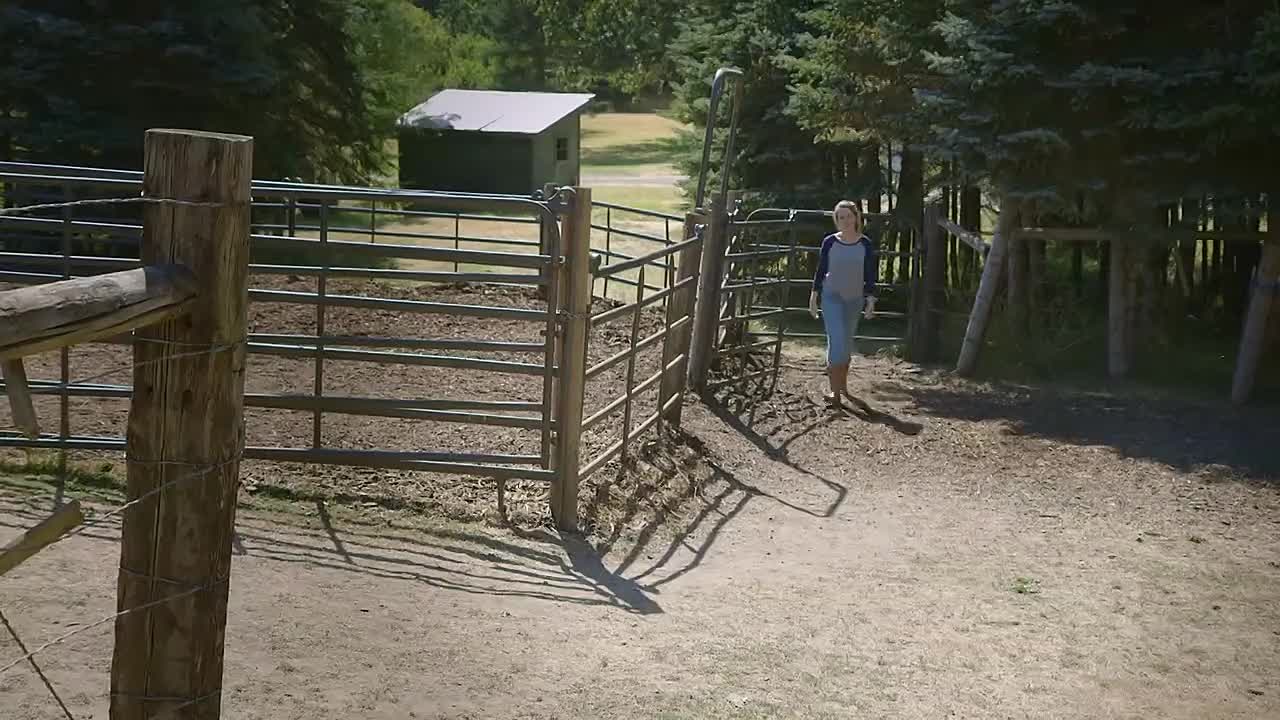 Luckys Treasure 2017 720p WEBRip x264 AAC