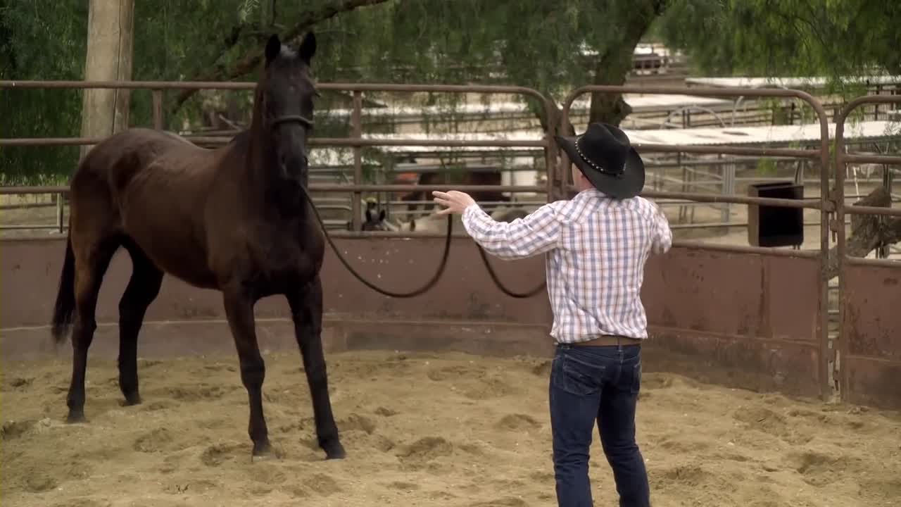 ⁣Our Wild Hearts 2013 1080p WEBRip H264 AAC