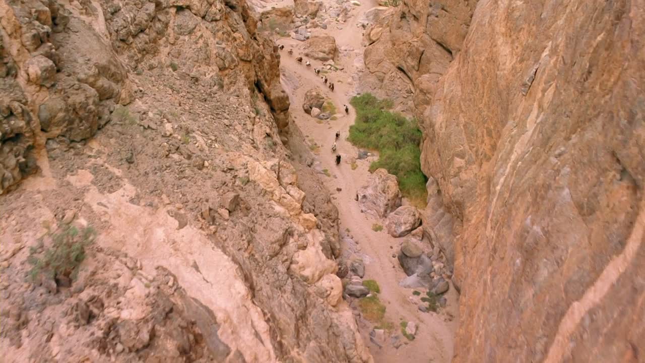 ⁣The Young Black Stallion 2003 1080p WEBRip x264 AAC5 1-