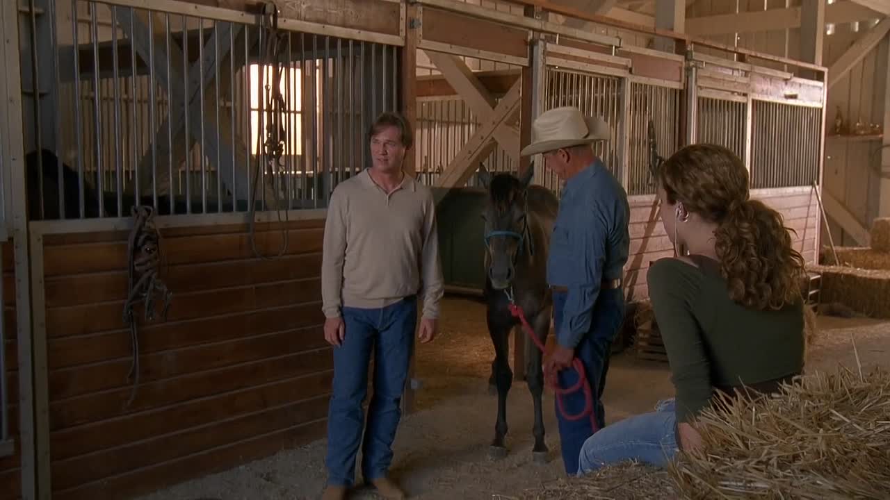 ⁣Wild Hearts 2006 1080p WEBRip x264 AAC