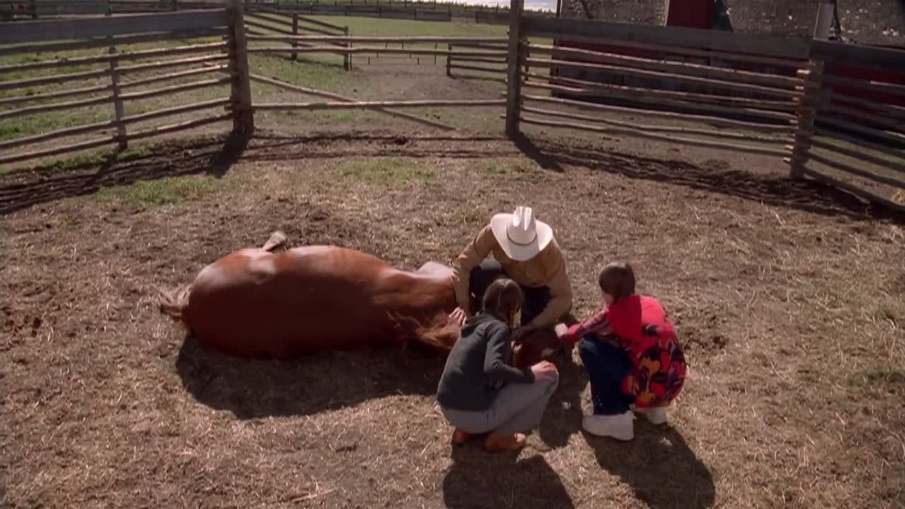 ⁣A Fathers Choice 2000 1072p WEBRip x264 AAC-456movie net