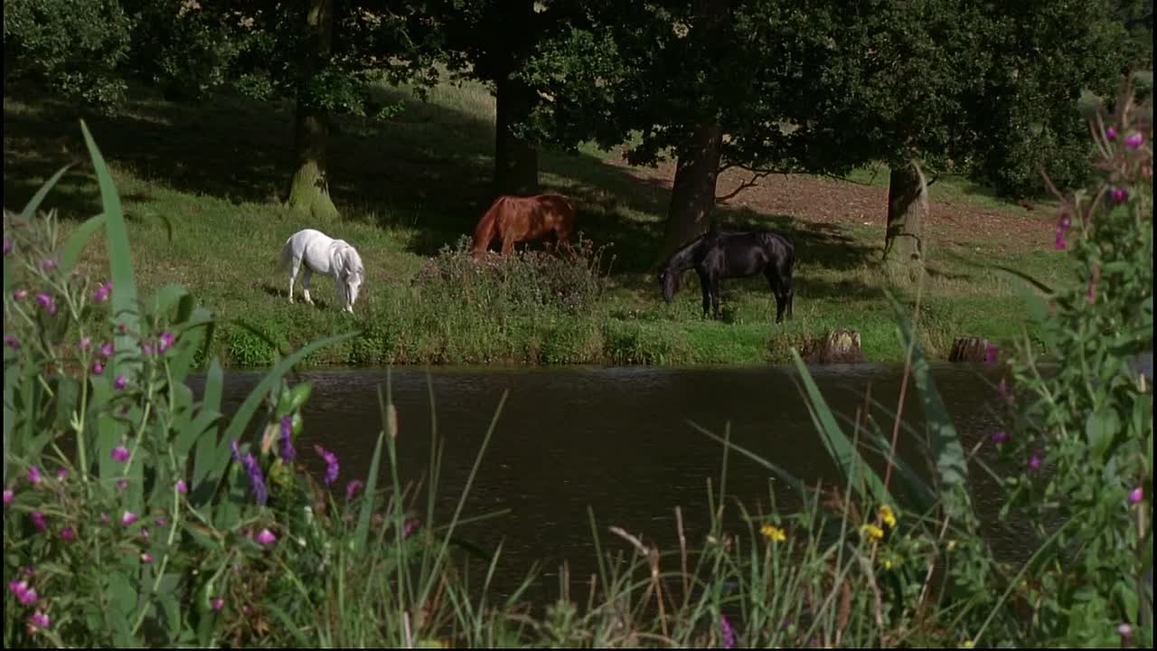 ⁣Black Beauty 1994 1080p BluRay x264 YIFY