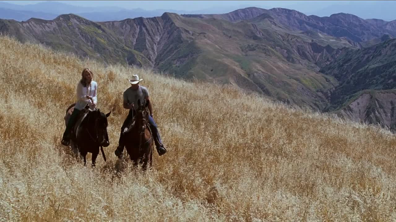 Flicka 1 2006 1080p BluRay x264 AAC5 1-