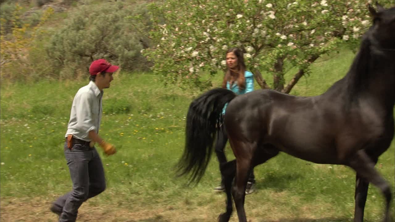 Flicka 2 2010 1080p BluRay x264 AAC5 1-