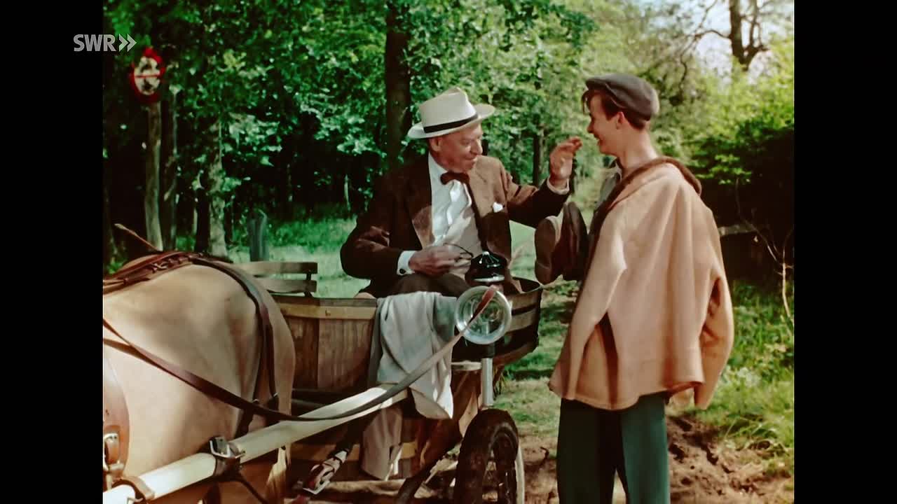 Hochzeit auf Immenhof 1956 GERMAN 1080p HDRip x264 AAC