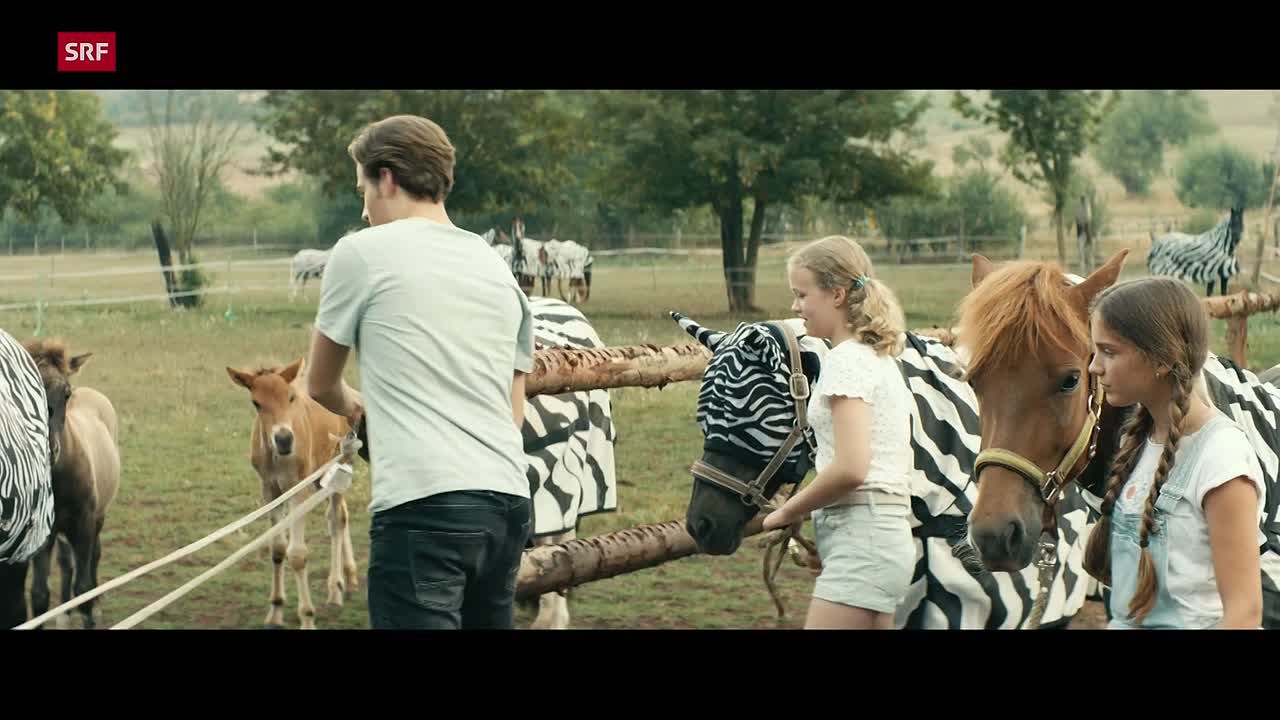 Immenhof - Das grosse Versprechen 2022 GERMAN 1080p HDRip x264 AAC