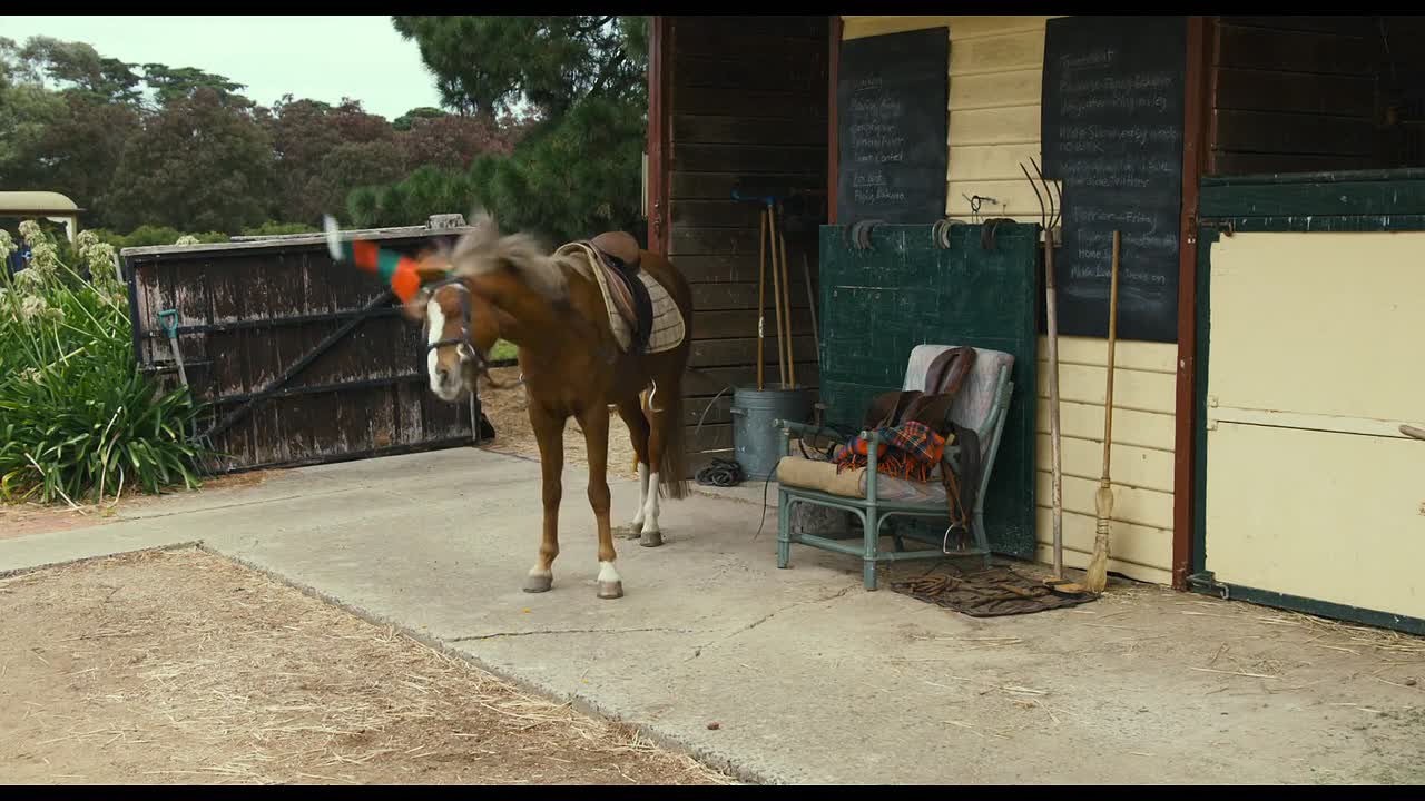 Ride Like A Girl 2019 1080p WEBRip x264 AAC