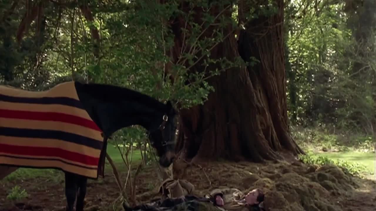 Shergar 1999 1080p WEBRip x264 AAC