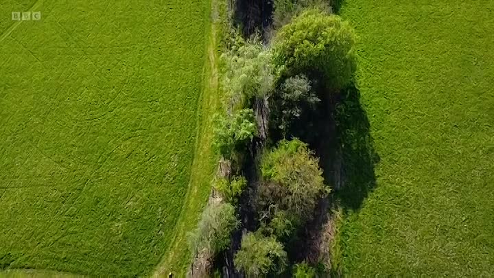 Crimewatch Live S22E06