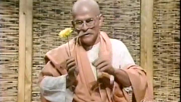 ⁣Saturday Night Live - S09E04 - Betty Thomas, Stray Cats