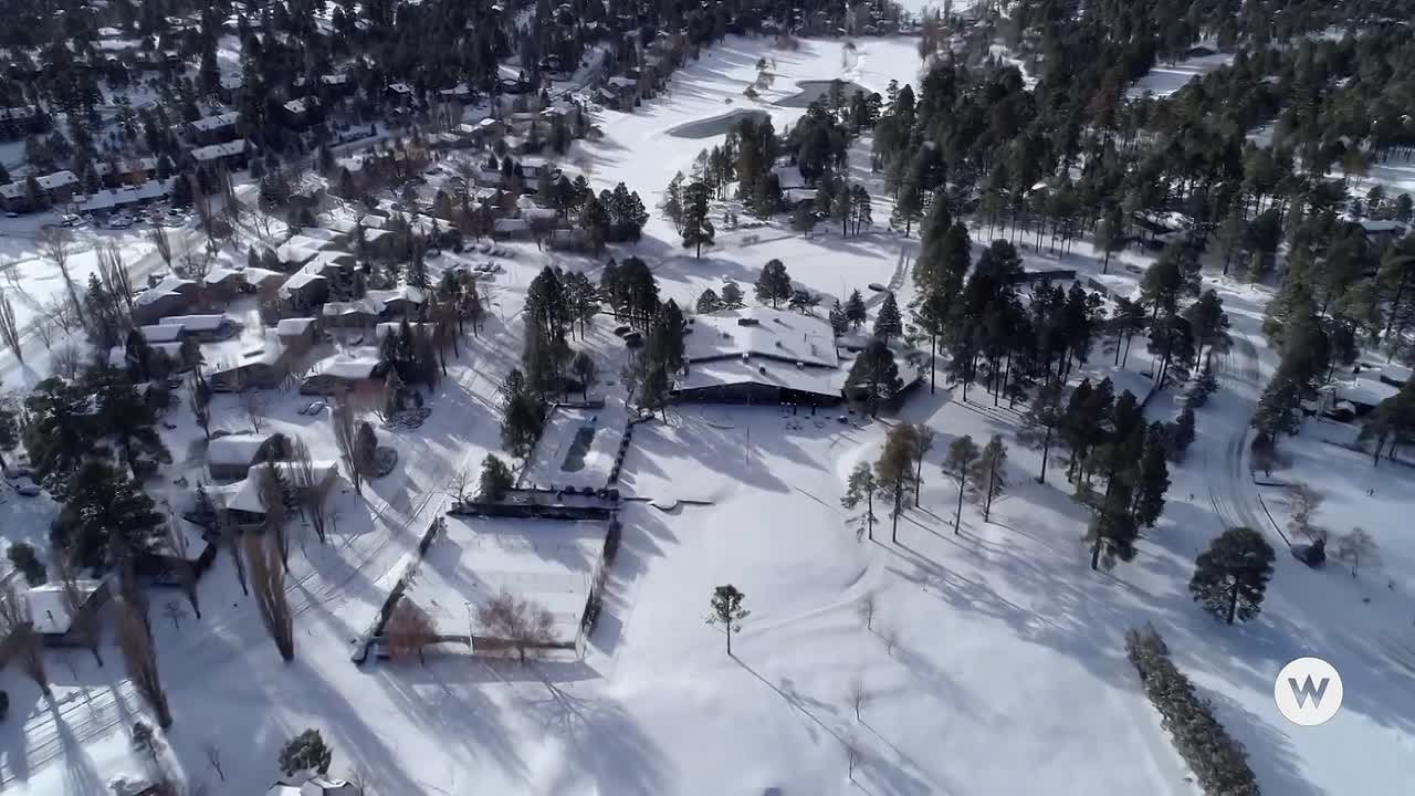 A Cheerful Christmas 2019 1080p WEBRip x264 AAC-rivestream org