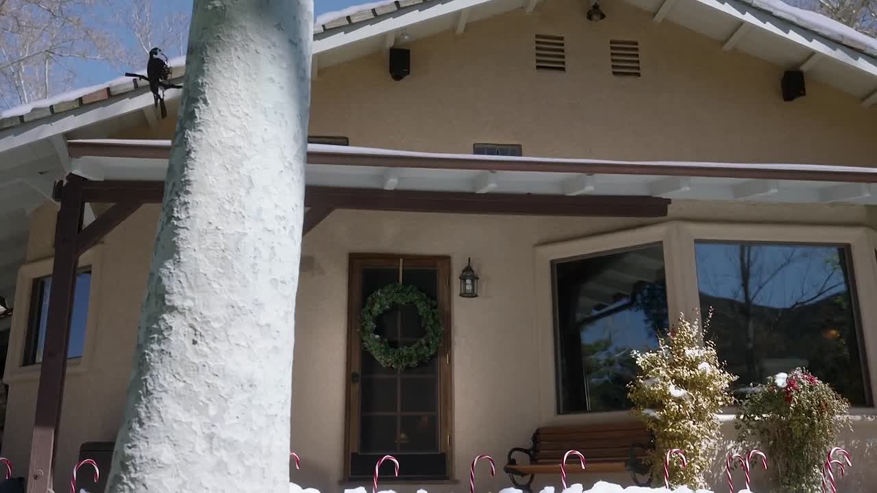 A Christmas to Treasure 2022 1080p WEBRip x264 AAC-rivestream org