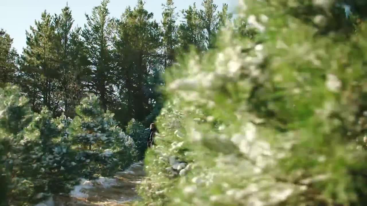 'Tis the Season to be Merry 2021 1080p WEBRip x264 AAC-rivestream org