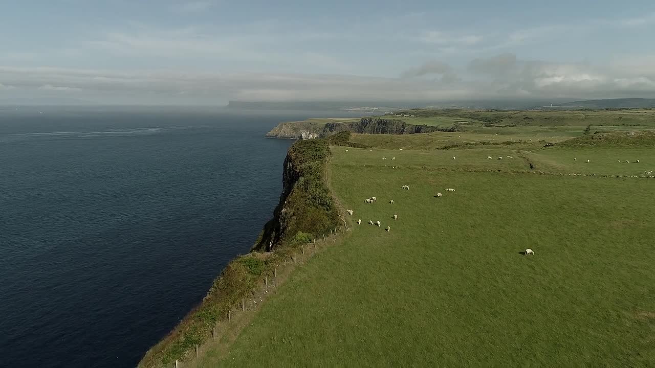 'Tis the Season to Be Irish 2024 1080p WEBRip x264 AAC-rivestream org