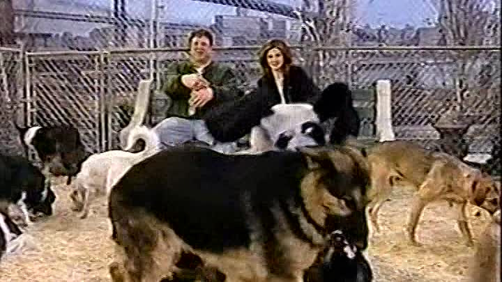 Saturday Night Live - S20E16 - John Goodman, The Tragically Hip