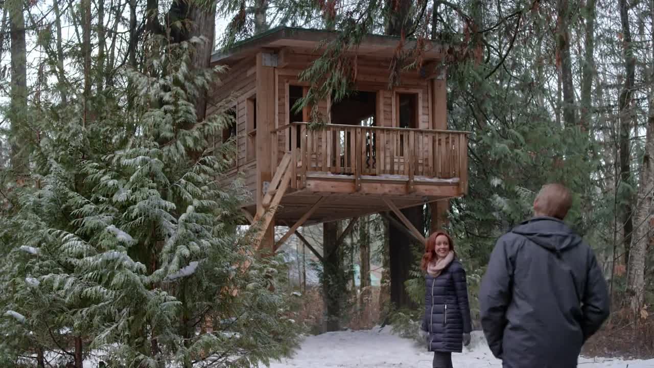 SnowComing 2019 1072p WEBRip x264 AAC-rivestream org