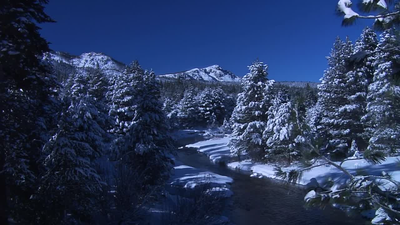 ⁣Santa Stole Our Dog A Merry Doggone Christmas 2017 1072p WEBRip x264 AAC-rivestream org