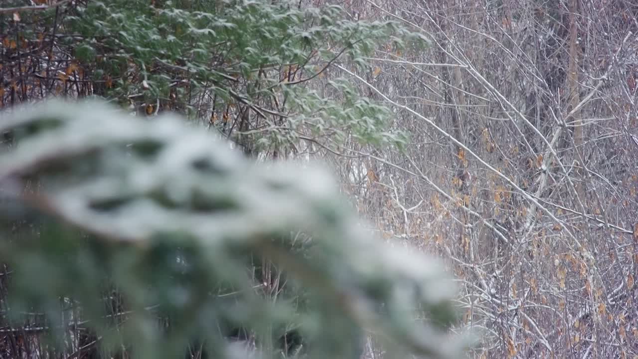 The Christmas Listing 2020 1080p WEBRip x264 AAC5 1-