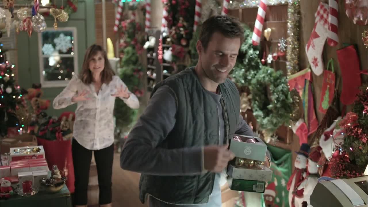 The Christmas Ornament 2013 1080p WEBRip x264 AAC