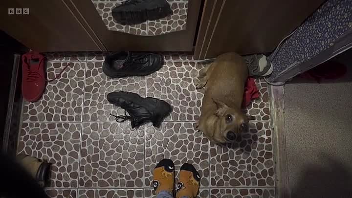 ⁣Storyville S2025E17