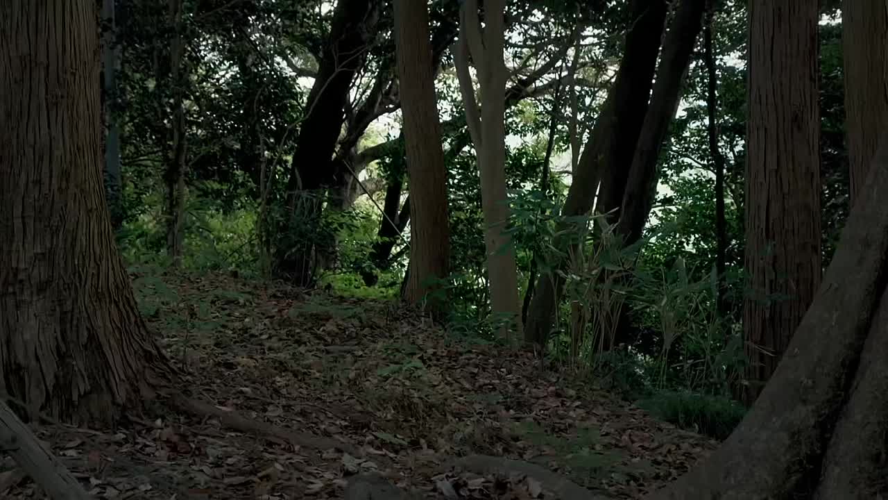 Art's Most S01E03 -Satanic