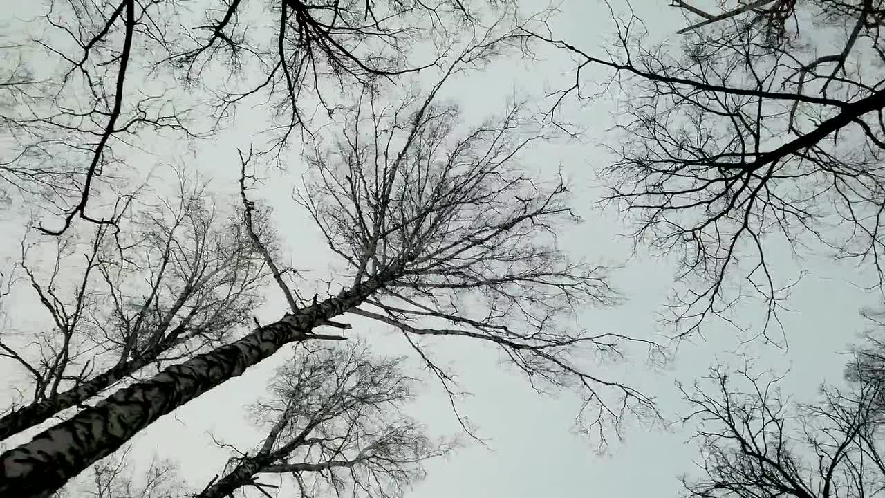 The Gift Of Christmas 2020 1080p WEBRip x264 AAC-rivestream org