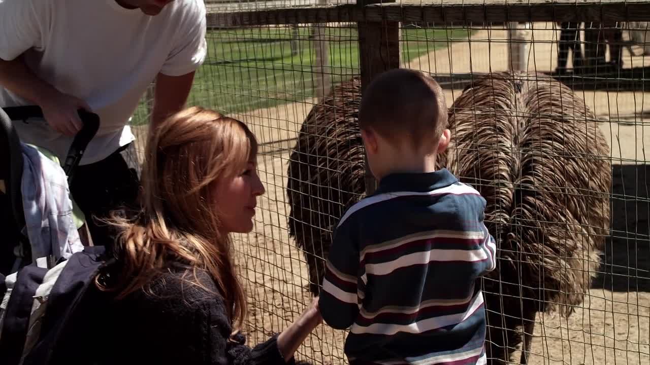 The Heart Of Christmas 2011 1080p BluRay x264-[YTS LT]