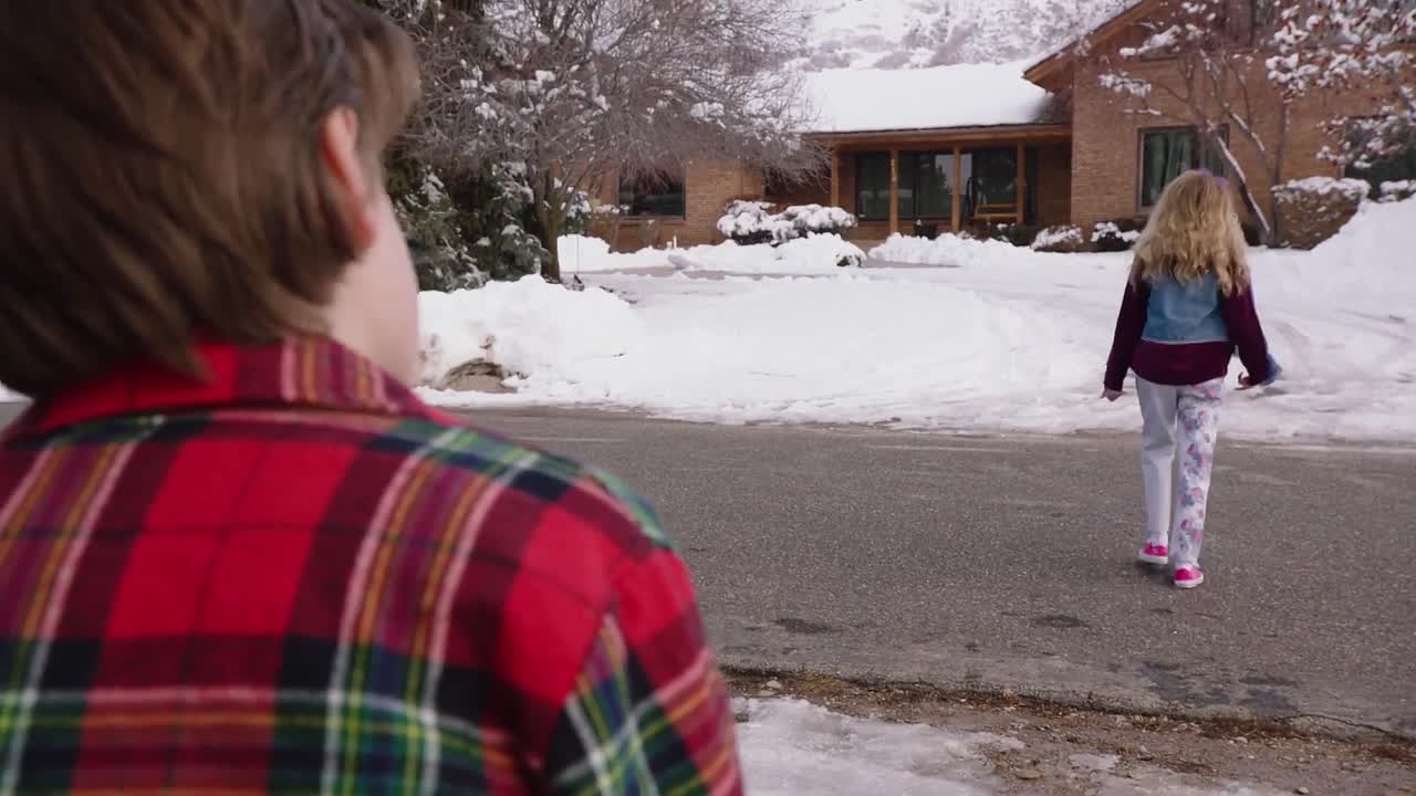 The Christmas Project 2016 1080p WEBRip x264-rivestream org