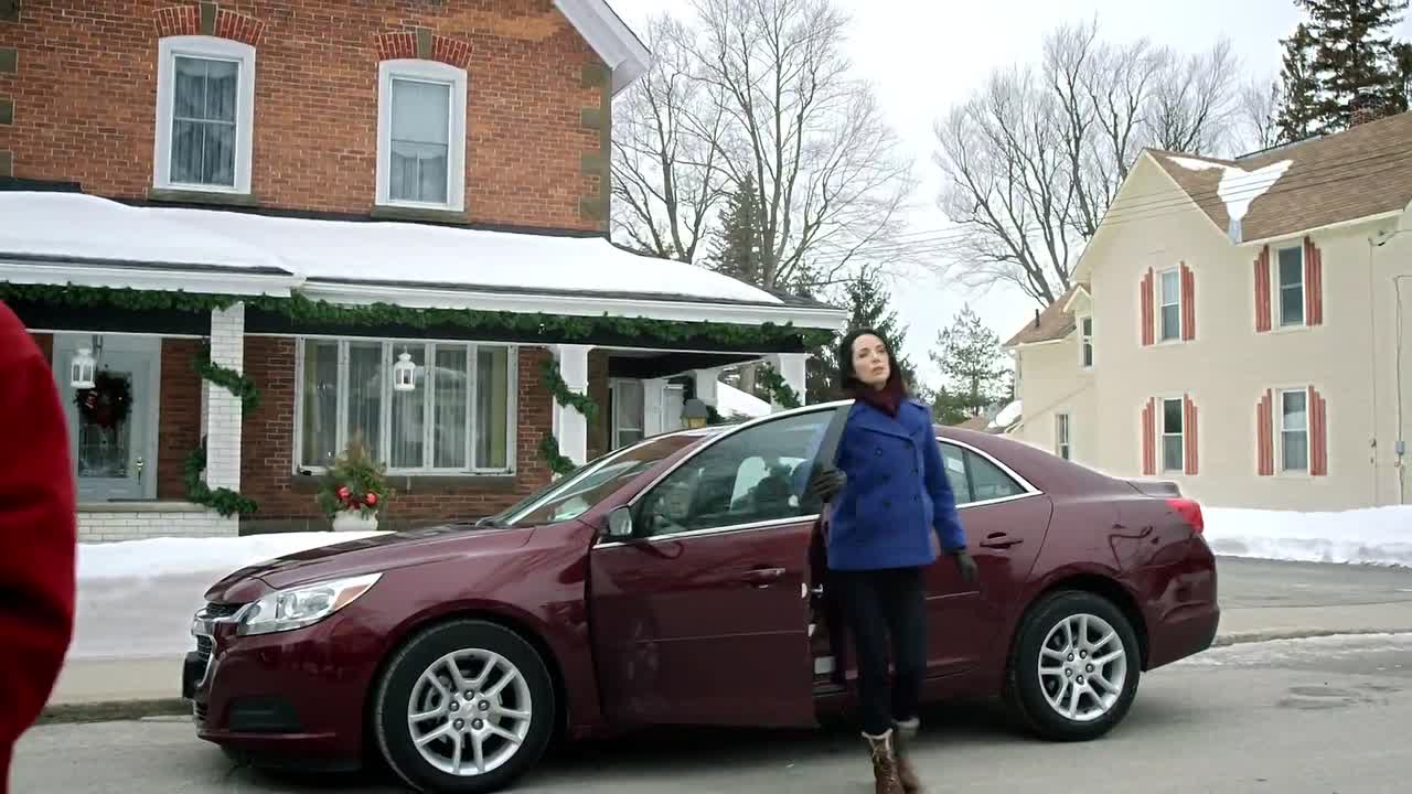 ⁣The Rooftop Christmas Tree 2016 1072p WEBRip x264 AAC-rivestream org