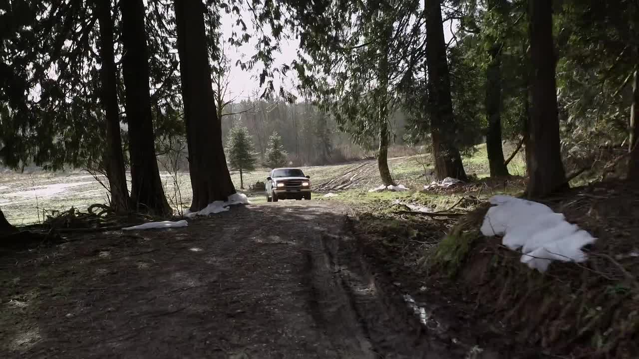 ⁣The Tree That Saved Christmas 2014 1080p WEBRip x264 AAC-rivestream org