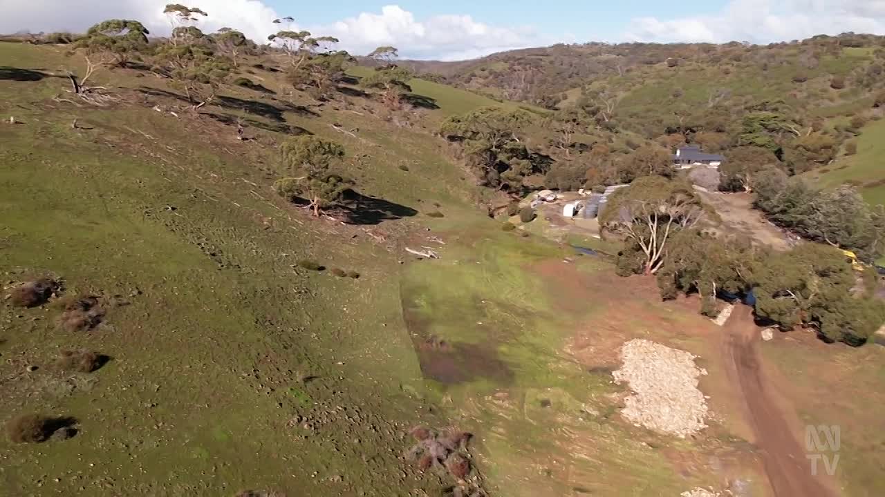 Australian Story S30E32 -Striking a Chord