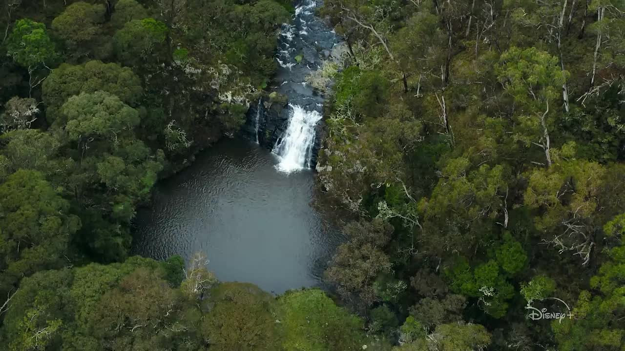 Limitless with Chris Hemsworth