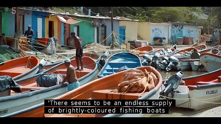 ⁣Michael Palin in Venezuela S01E03