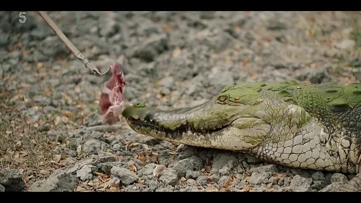 ⁣Michael Palin in Venezuela S01E02