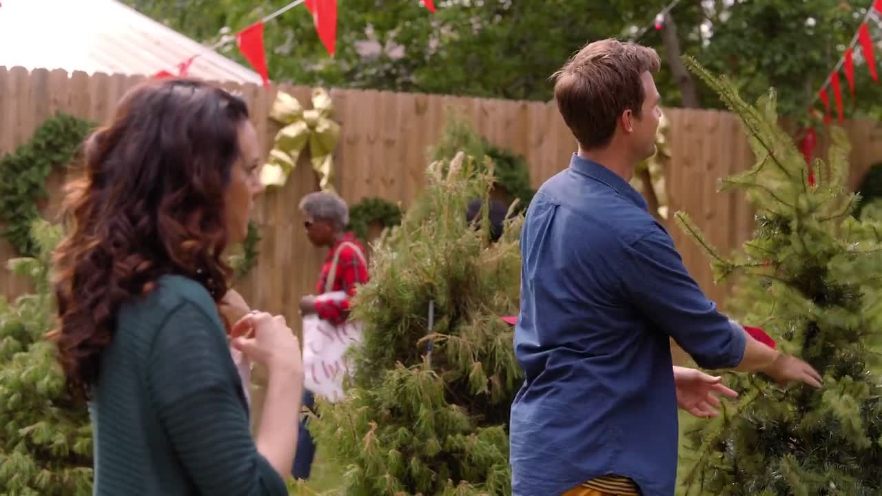 A Christmas Wish 2019 1080p WEBRip x264 AAC-rivestream org