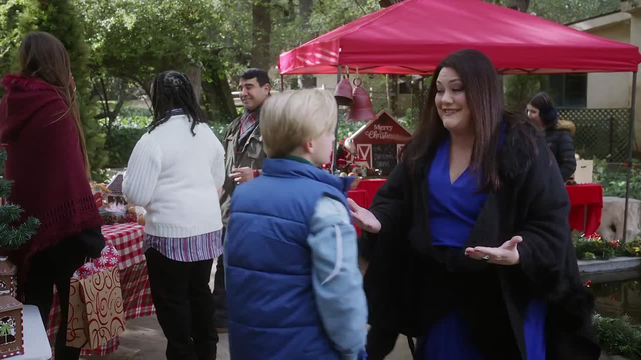 A Country Christmas Harmony 2022 1080p WEBRip x264 AAC-rivestream org