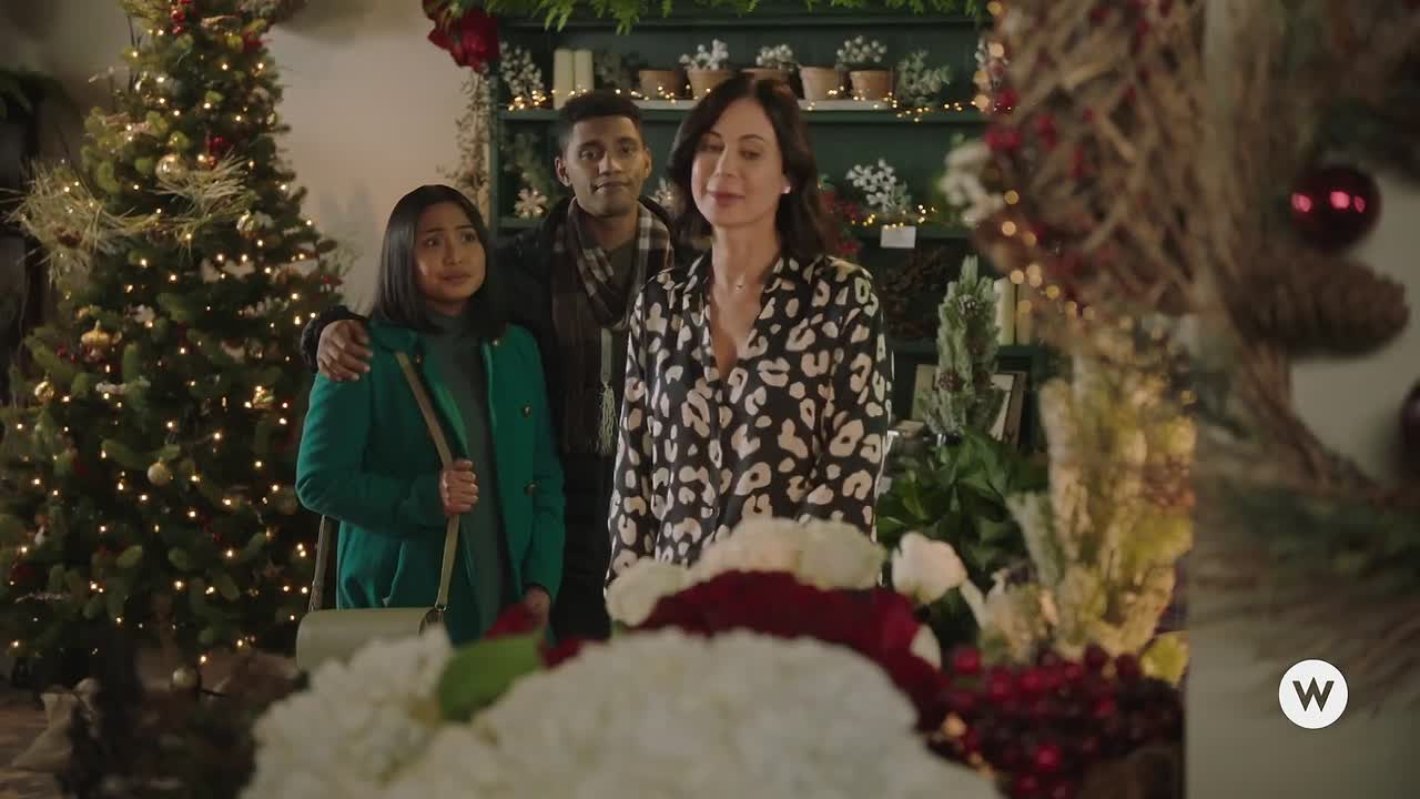 ⁣Meet Me at Christmas 2020 1080p WEBRip x264 AAC-rivestream org