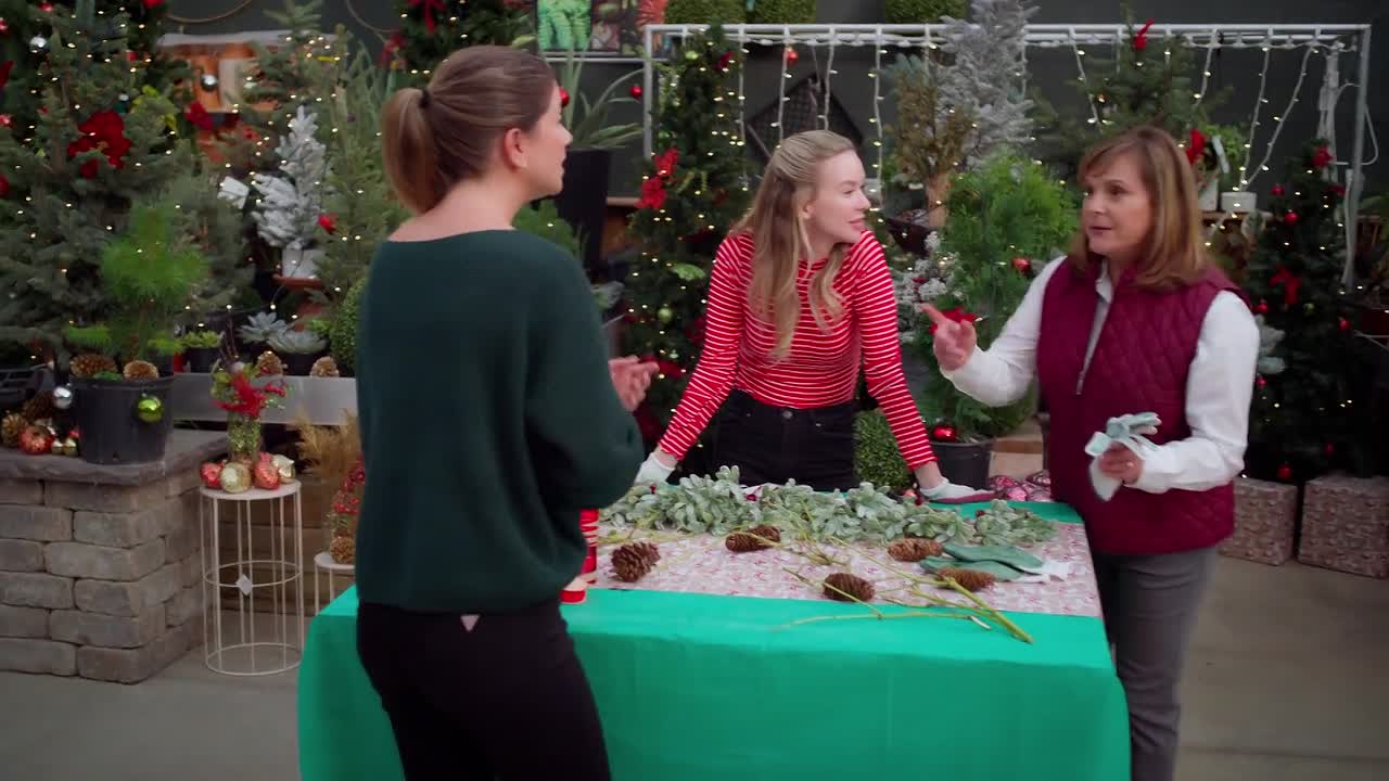 ⁣Meet Me Under the Mistletoe 2003 1080p WEBRip x264 AAC-rivestream org