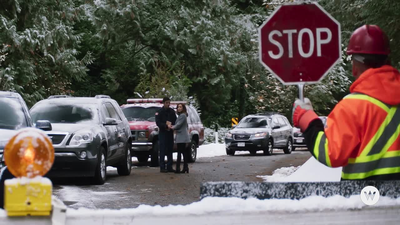 A Glenbrooke Christmas 2020 1080p WEBRip x264 AAC-rivestream org