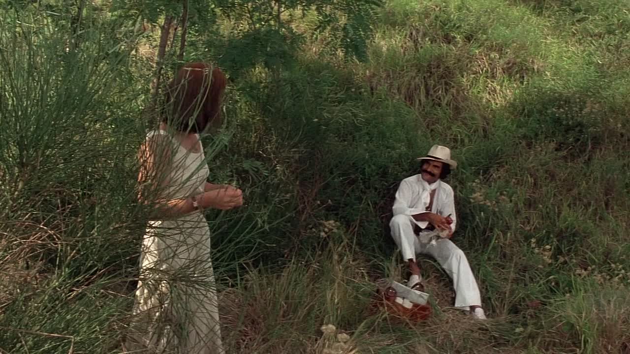 Bobby Deerfield 1977 1080p BluRay x264 AAC5 1-