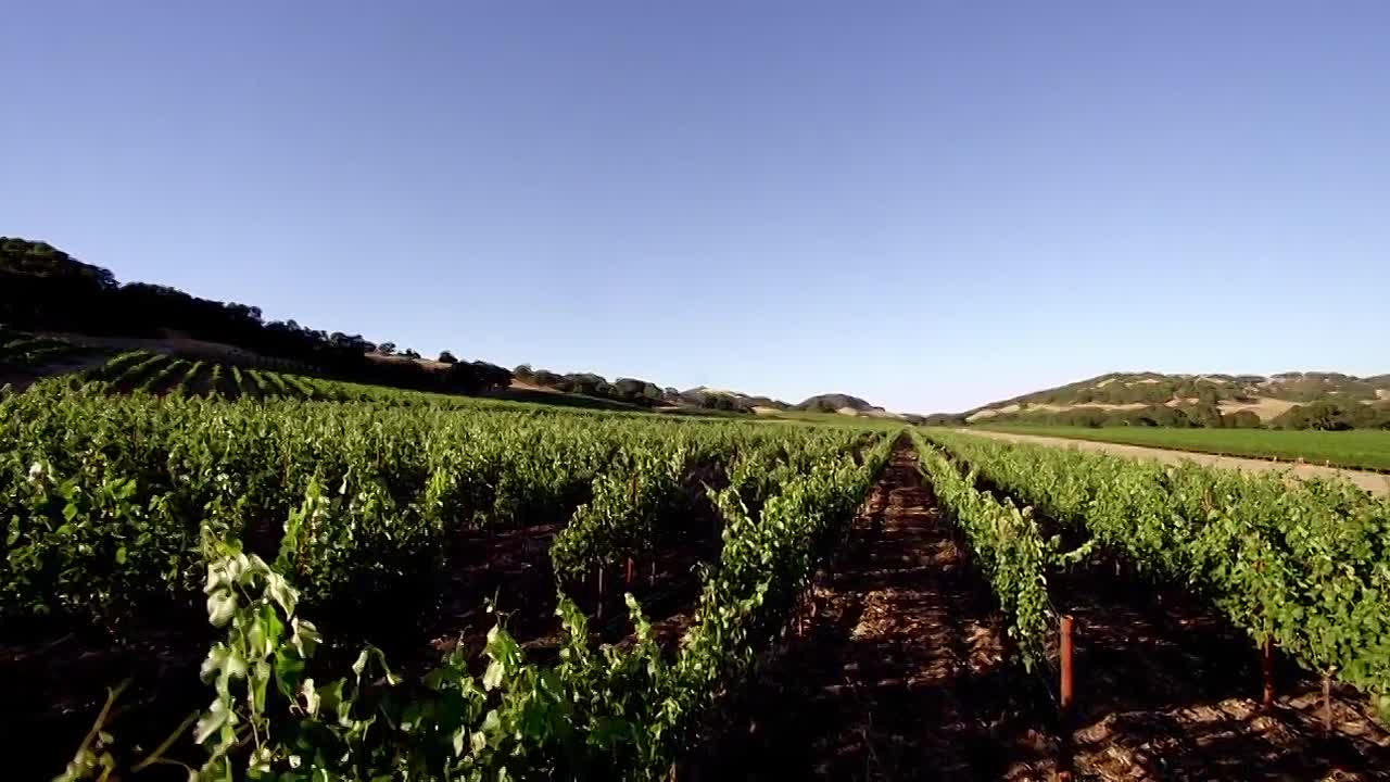 Christmas Belle 2013 714p WEBRip x264 AAC-rivestream org