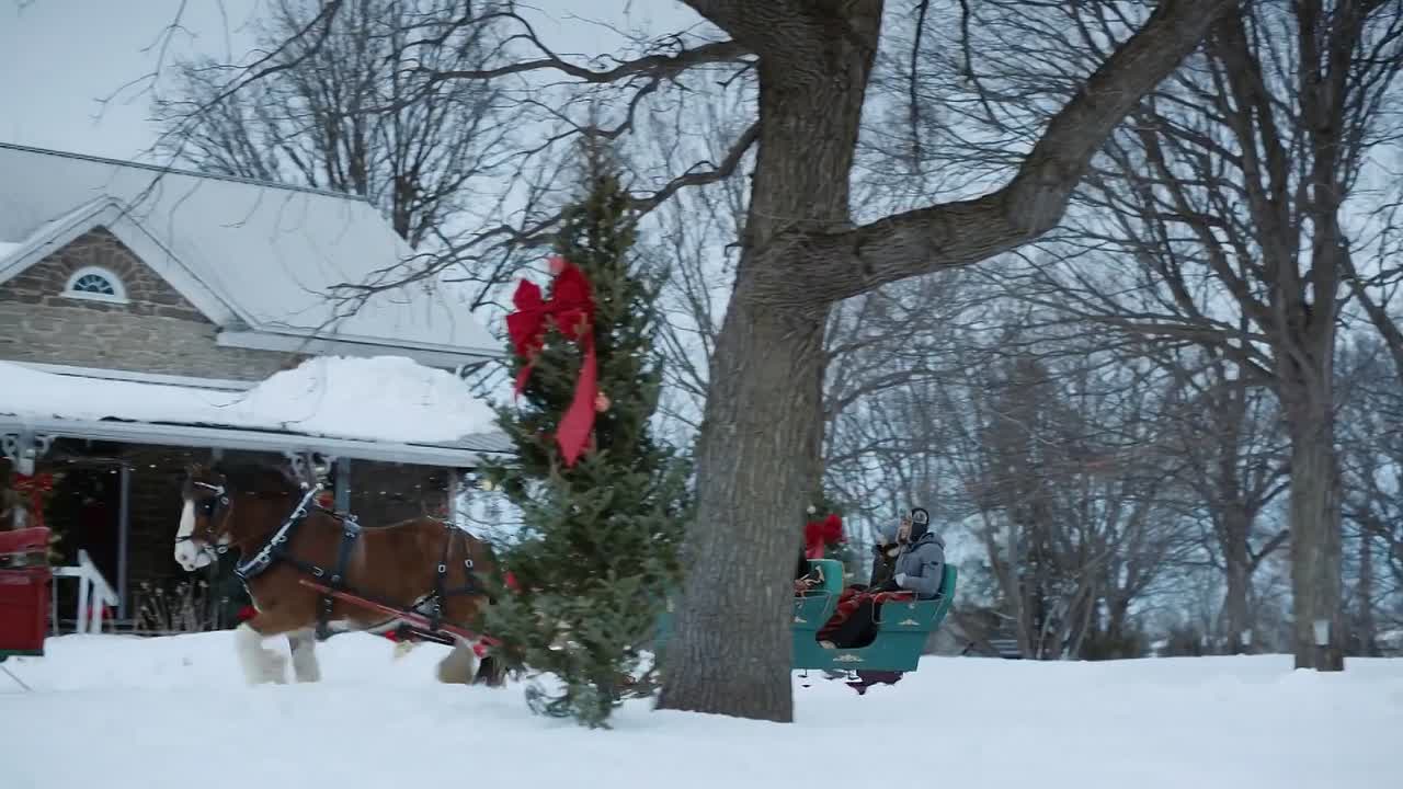 ⁣A Royal Christmas Crush 2023 1080p HDRip x264 AAC-rivestream org