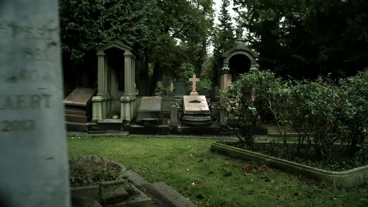 Among the Shadows 2019 1080p HDRip x264 AAC