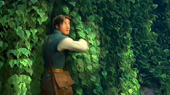 Raiponce FRENCH DVDRip XviD AC3-TFTD