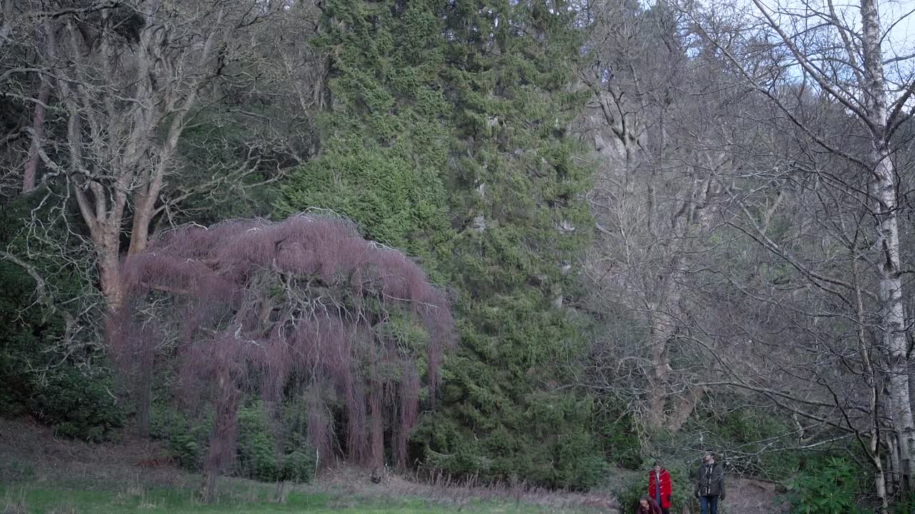 ⁣Christmas In Scotland 2023 1080p WEBRip x264 AAC-