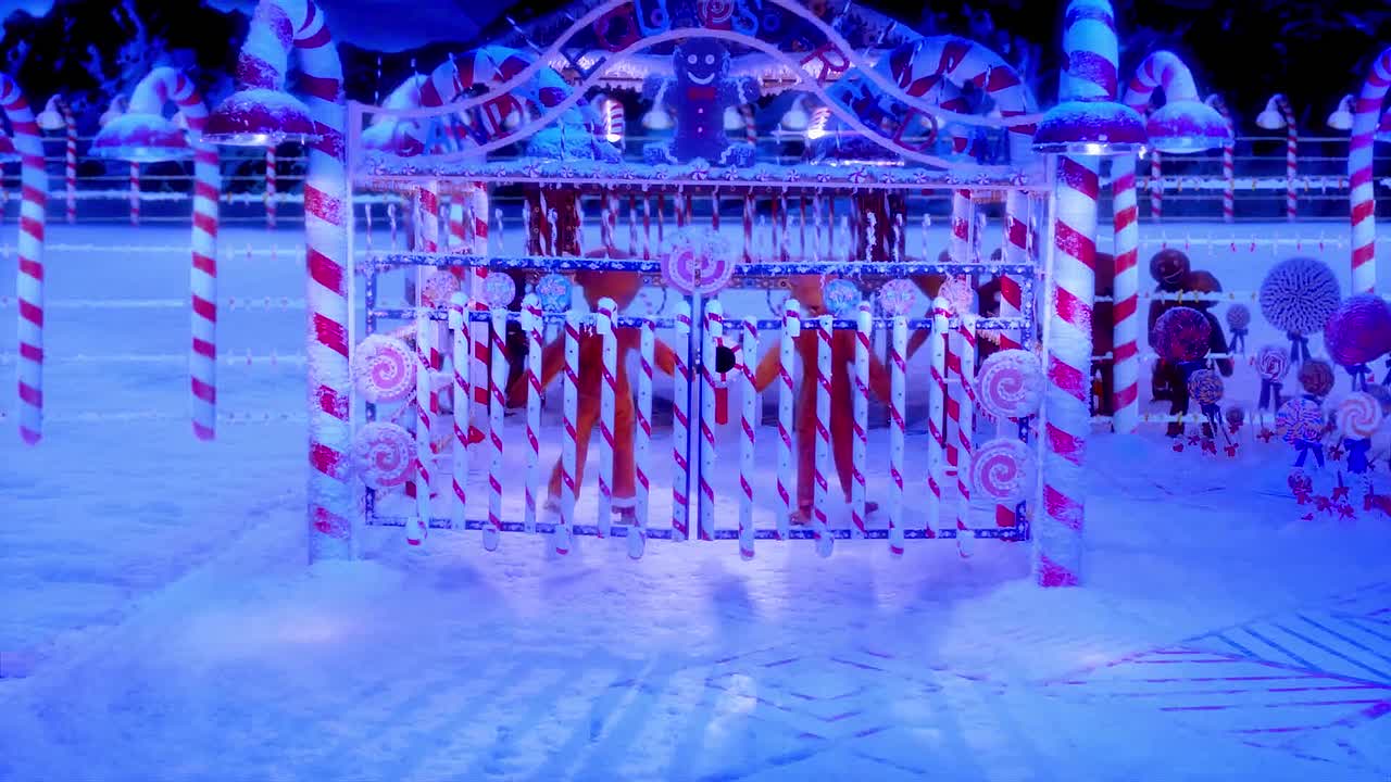 ⁣Christmas Dreams 2015 1080p WEBRip x264 AAC-rivestream org