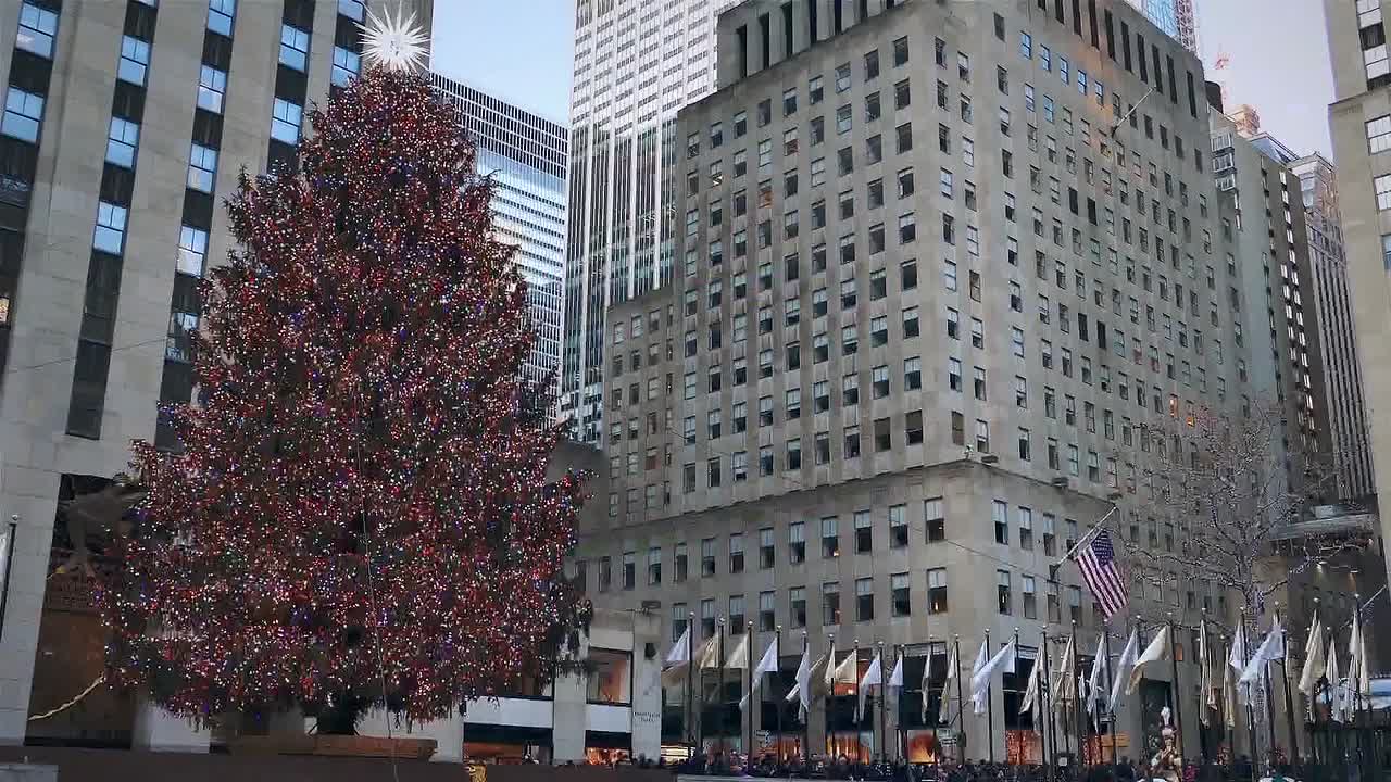 Christmas Ever After 2020 1080p WEBRip x264 AAC-rivestream org