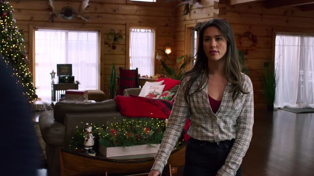 Christmas in the Wilds 2021 1080p WEBRip x264 AAC